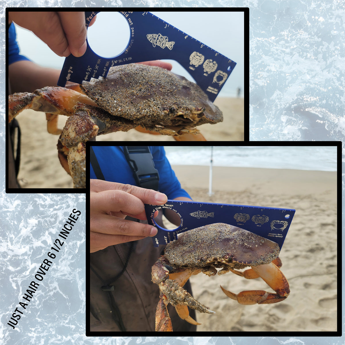 Crab Gauge - Blue & Silver Crab Ruler with Strong Magnetic Clip Holder and Retractable Coiled Lanyard Carabiner